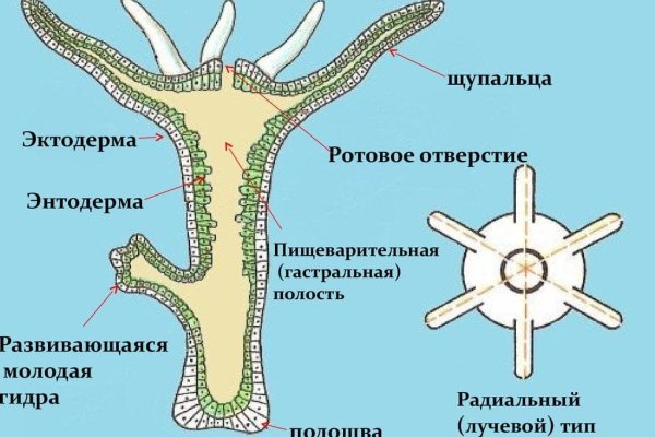 Кракен даркнет