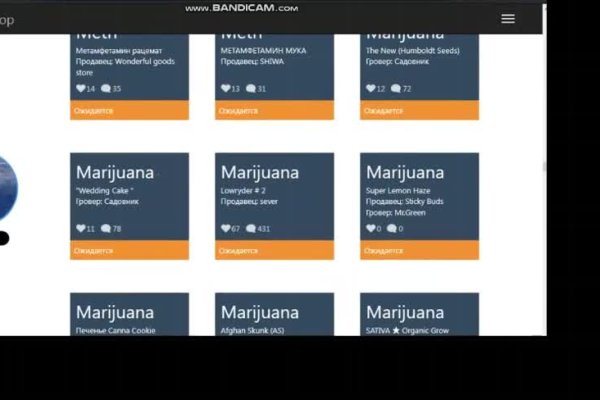 Kraken online