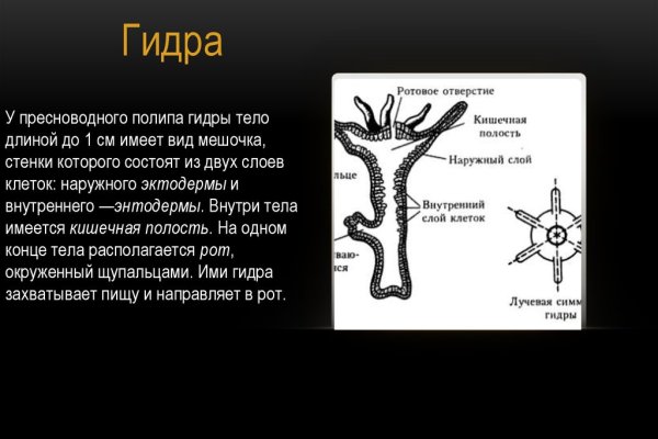 Кракен at