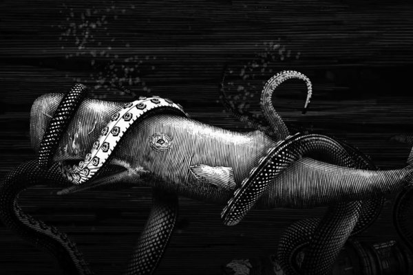 Kraken что это такое