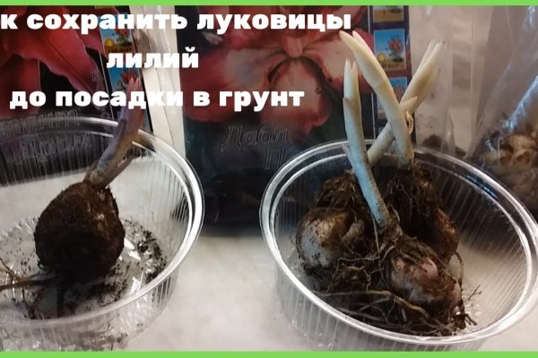 Рабочее зеркало кракен store