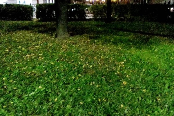 Где купить наркотиков