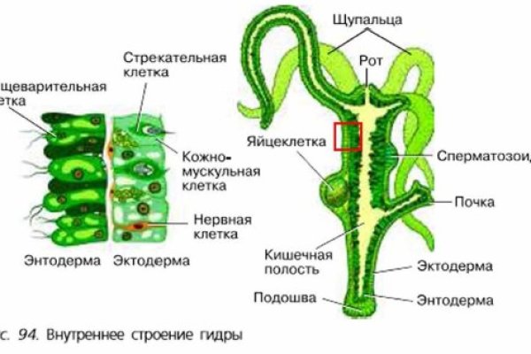 Кракен ссылка зеркало