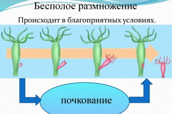 Что такое кракен маркетплейс в россии