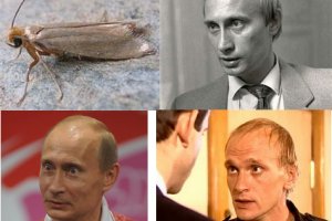 Магазин даркнета